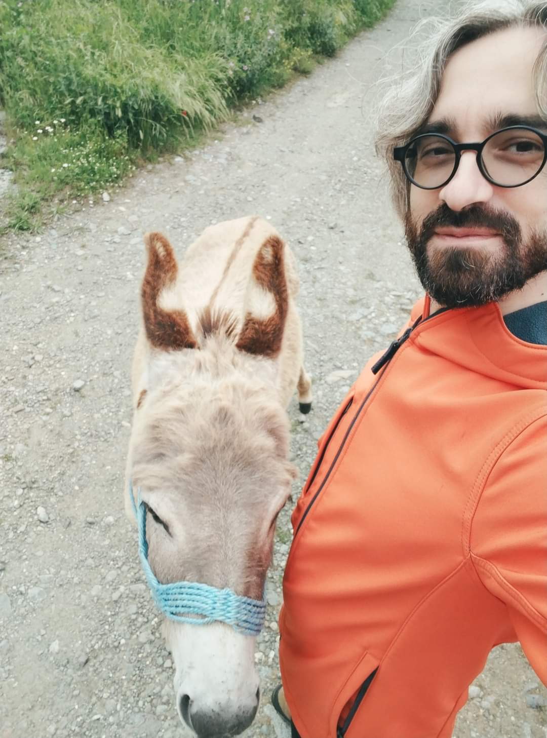 Апасиев ја поздрави елитата со МАГАРЕ (Фото)