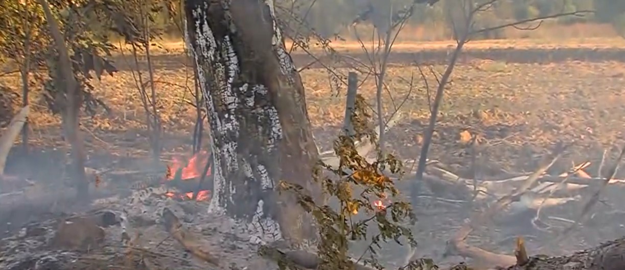 Голем пожар во Волково, граѓаните во страв за своите домови (Видео)