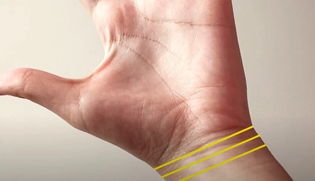 Колку имате вие? Линиите на зглобот откриваат колку пари ќе имате и колку ќе живеете