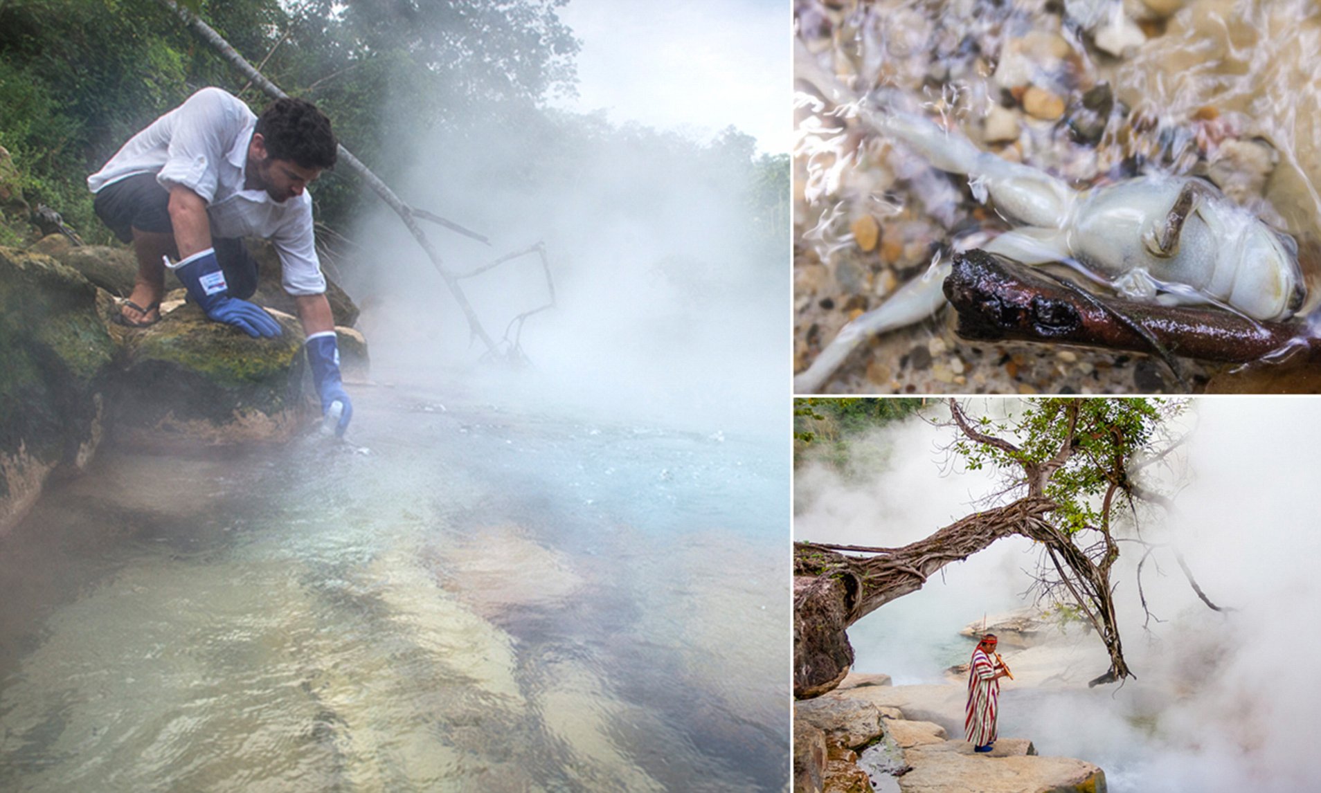 Мистериозната врела река во Перу што убива животни