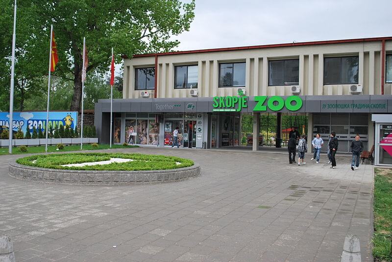 После берберските овци, угина уште едно животно во Скопската зоолошка