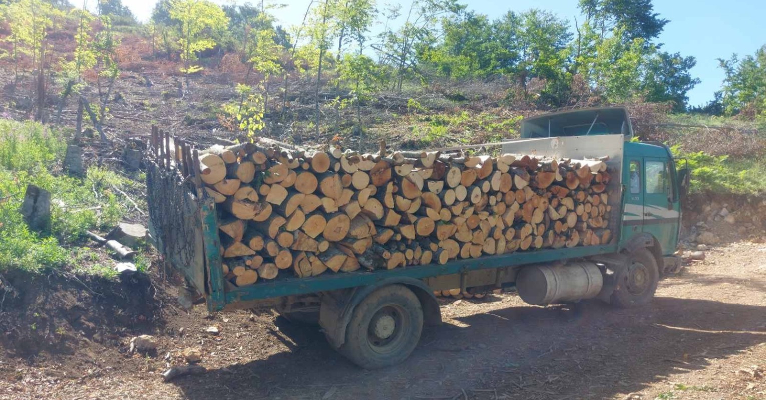 Двајца вработени во ЈП „Национални шуми“ заработија кривични пријави