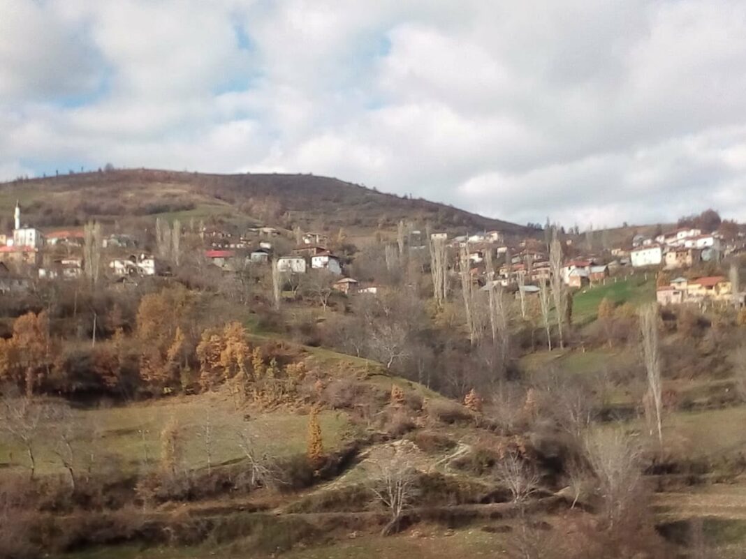 МАЕИ бара од македонските власти да не ги попречуваат Македонците од Мала Преспа да влезат во Македонија