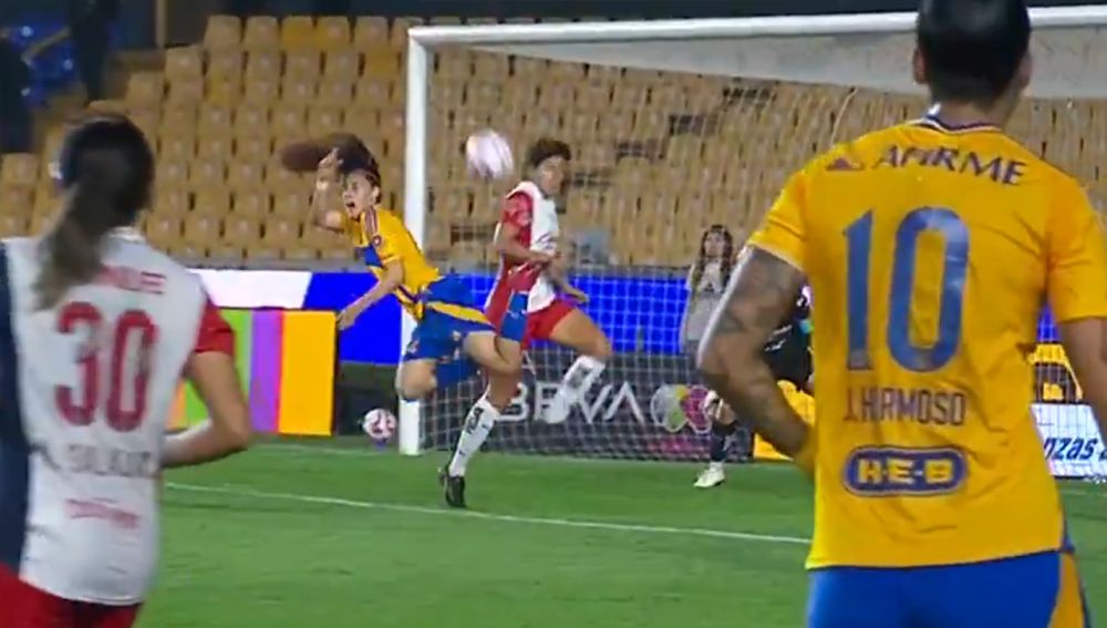 Коментаторот полуде, навивачите во неверување: Ваков гол се дава еднаш во 150 години (ВИДЕО)