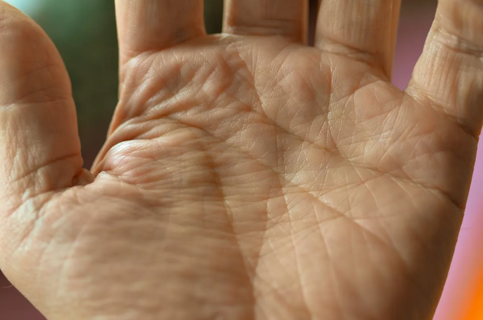 Ова значи дека ќе имате многу пари! Линиите на вашиот зглоб откриваат во кои години ќе заработите најмногу пари