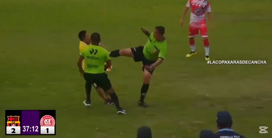 Хаос на теренот: Тренерот сакаше да нападне судија, па доби класичен нокаут (ВИДЕО)