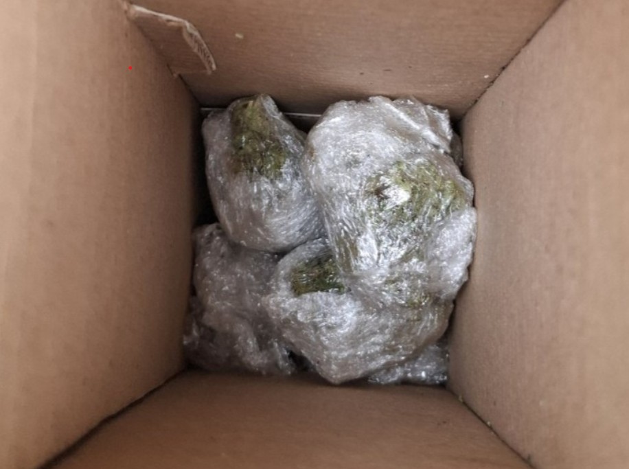 [ФОТО] Претрес во Радовиш, пронајдена дрога и цигари со странски бандероли, кривична пријава и притвор за едно лице