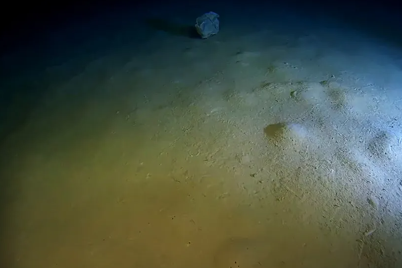 Научниците на дното на Средоземното море открија застрашувачки докази: Ова е катастрофа за целиот свет