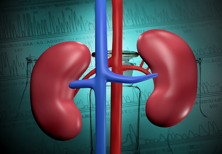 Ги уништува бубрезите, а Македонците го пијат секојдневно: Овој пијалок е кошмар за вашето здравје