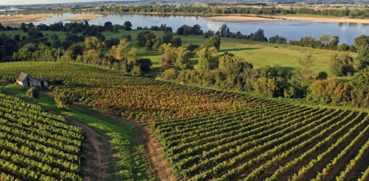 Во еден европски регион откриени повеќе од 150 тони злато, вредни повеќе од четири милијарди евра