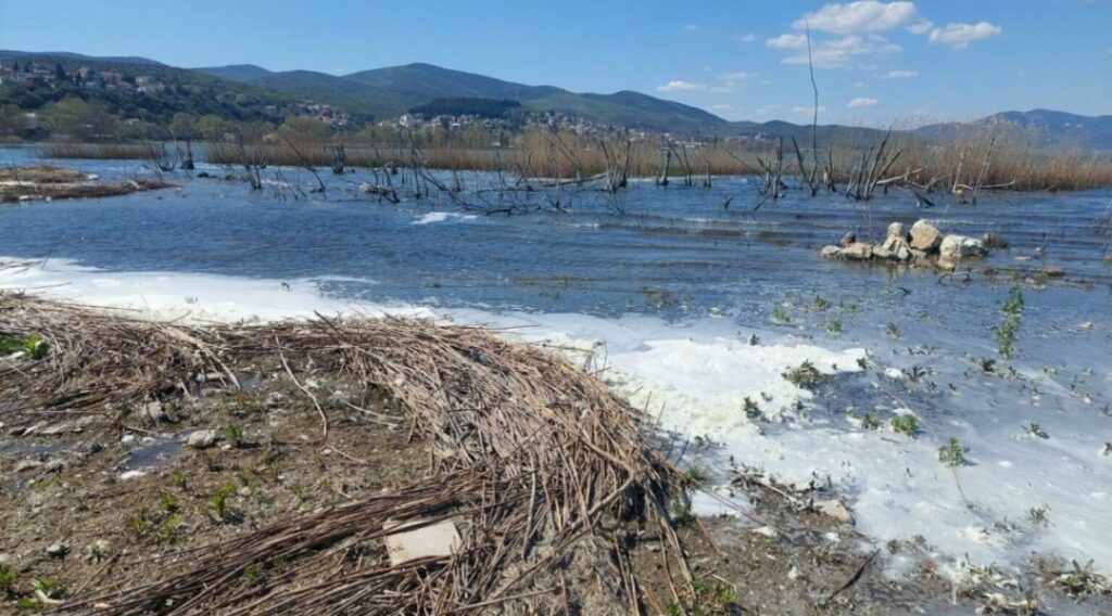 Бела пена, мртви риби и ракови го прекрија брегот на Дојранското Езеро!