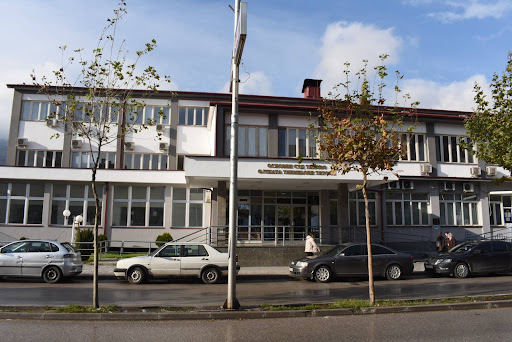 Две години затвор за Пајазити кој ја усмрти младата Теодора во Тетово