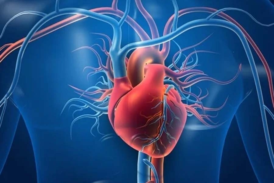 Кардиолози советуваат: Јадете ги овие овошки секојдневно, за здраво и силно срце