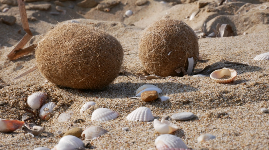 Редок природен феномен забележан на плажите во Грција: Вакво нешто се гледа многу ретко [ФОТО]