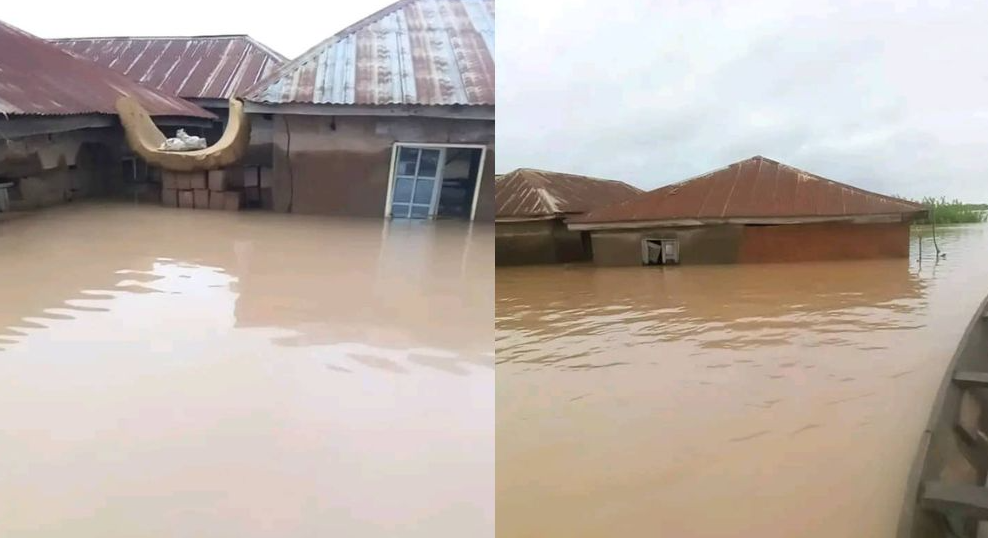 Најмалку 88 загинати во катастрофални поплави во Нигерија