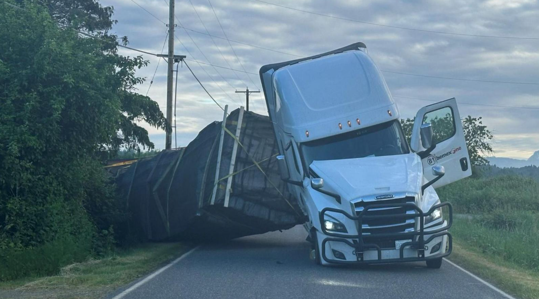 250 милиони пчели избегаа откако камион што превезува кошници се преврте во САД