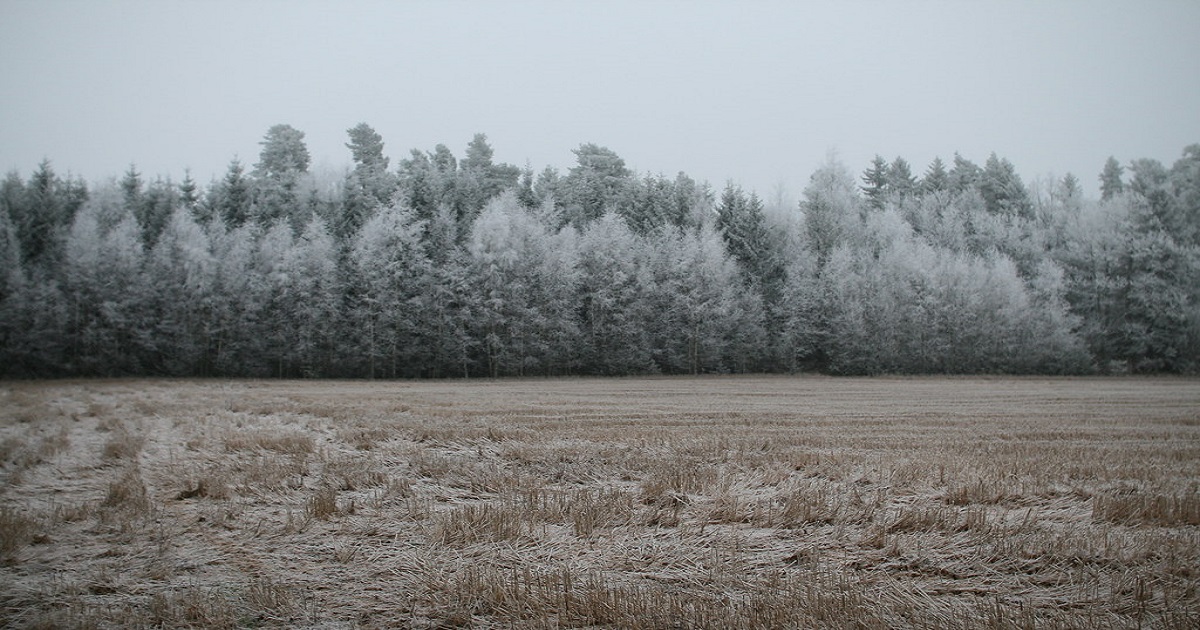 Лоши вести: Подгответе се за студено време – еве какво време ја очекува Македонија во следниот период