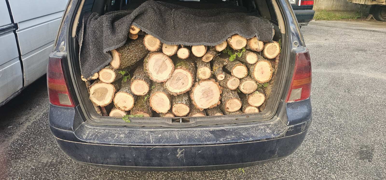 Приведени дрвокрадци во скопско, дрвата и возилото се одземени
