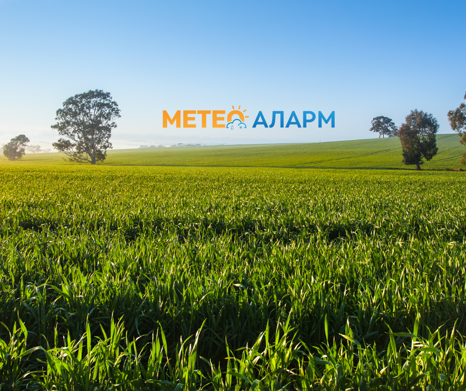 Свежо утро во Македонија, измерени се најниски 8 степени!