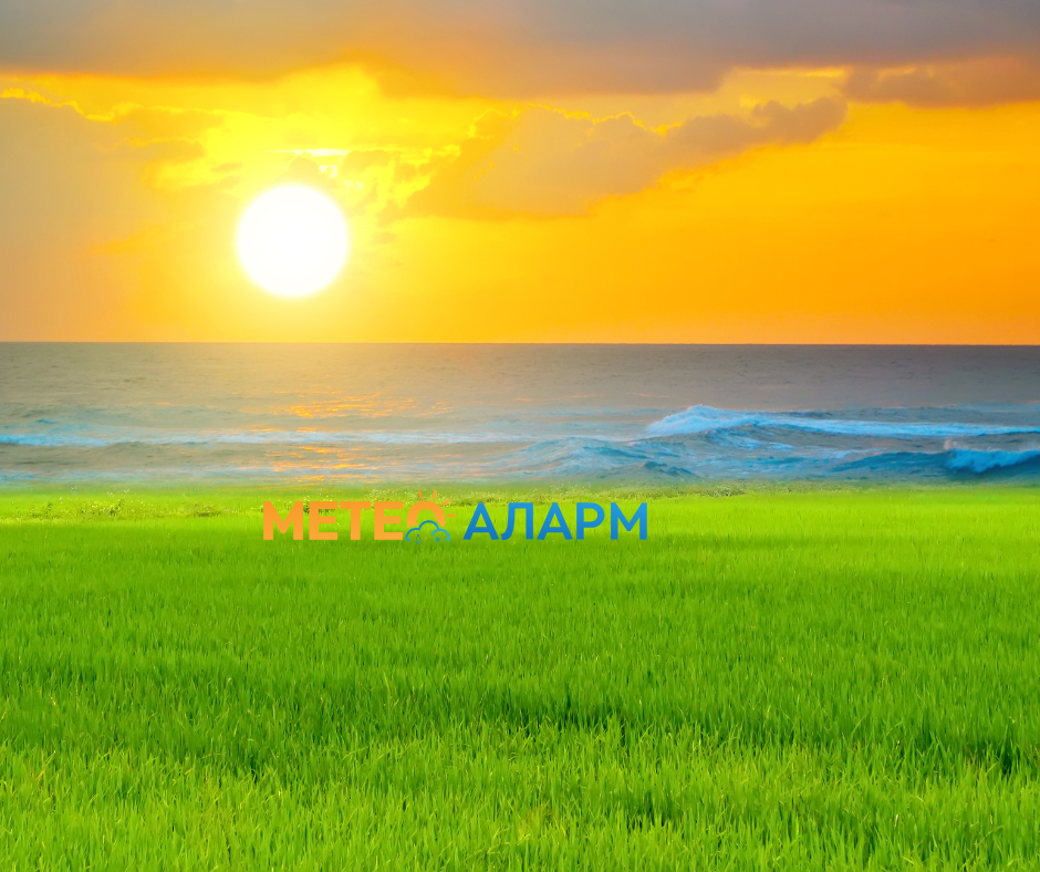 МЕТЕО: Еве какви температури ја очекуваат Македонија во следниот период