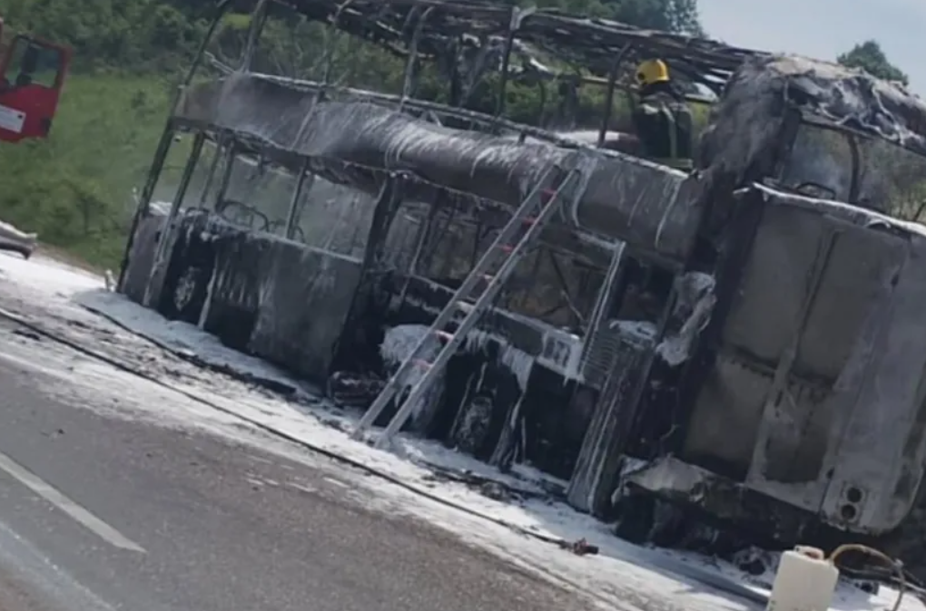 Драма на екскурзија во Србија: Деца панично бегаат од автобус од кој излегува чад – изгоре автобус во Бољевац [ВИДEO]