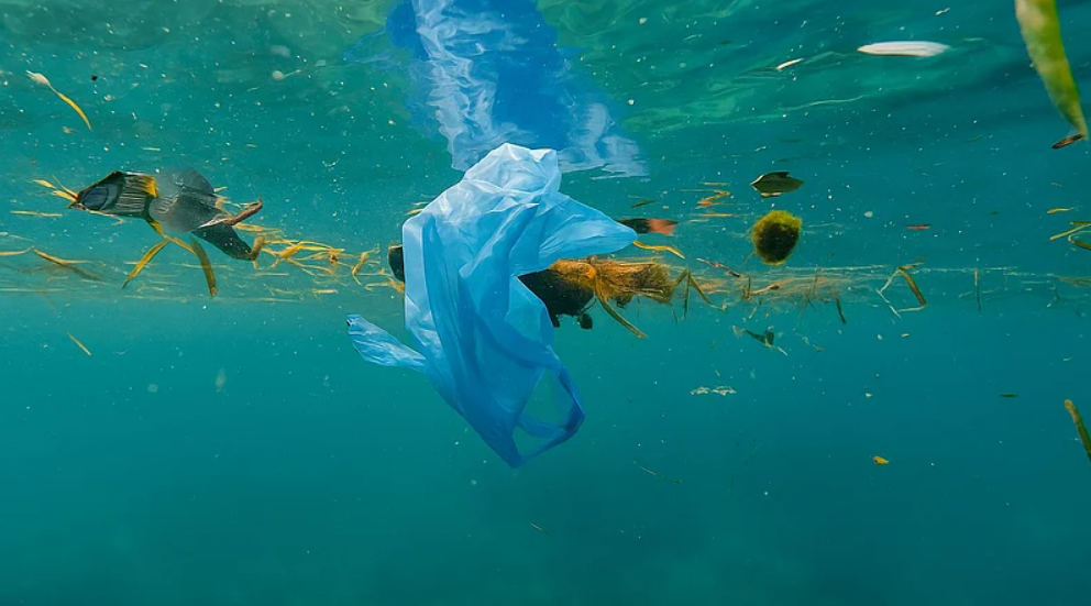 Јапонски научници создадоа пластика што исчезнува во морето за само еден час