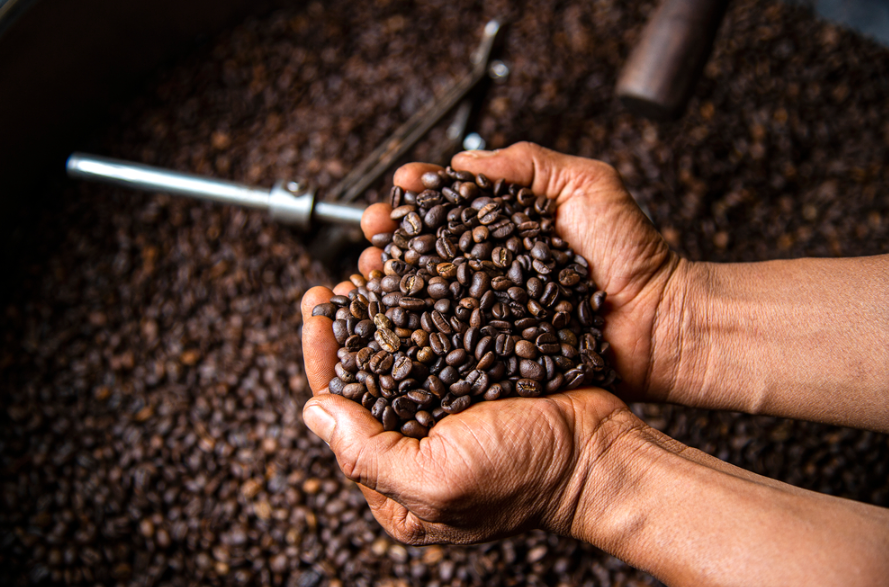 Неочекувано добра берба на кафе во Бразил – дали кафето конечно ќе поевтини?