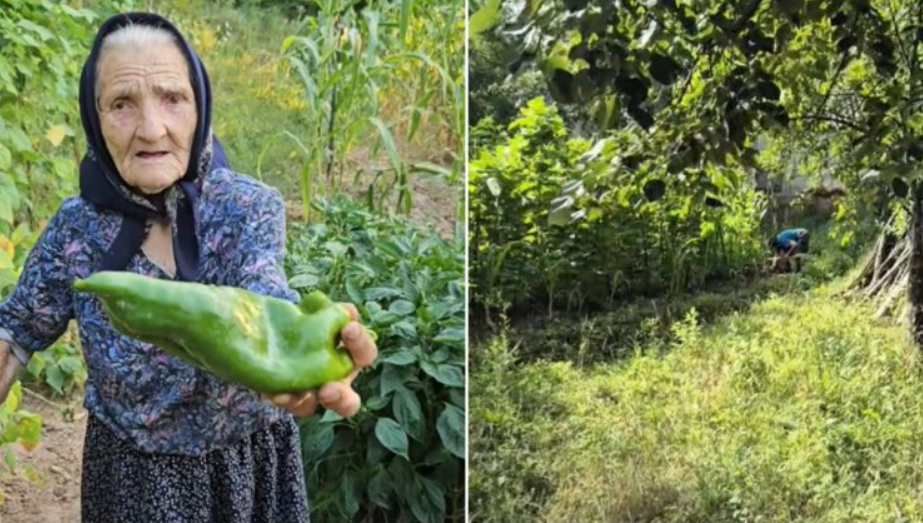 Тајната на долговечноста: Баба Мирјана има 98 години, на доктор нема отидено повеќе од 12 години, живее сама и секое утро го почнува на ист начин