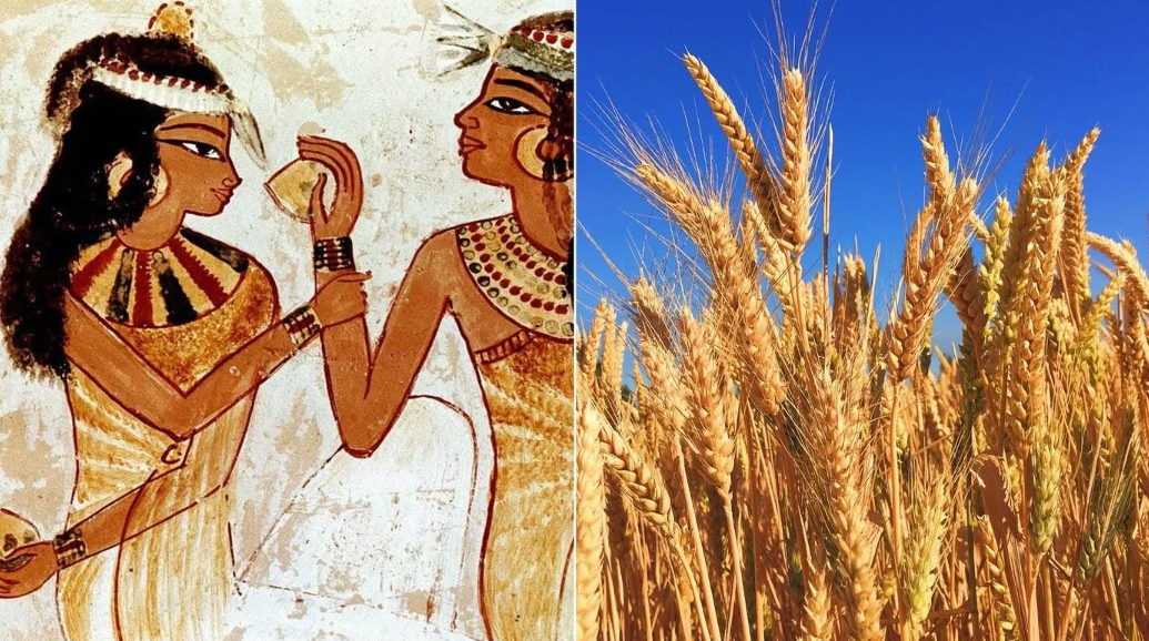 Откриен тест за бременост стар 3.500 години: Древните Египќани знаеле да го одредат и полот на бебето