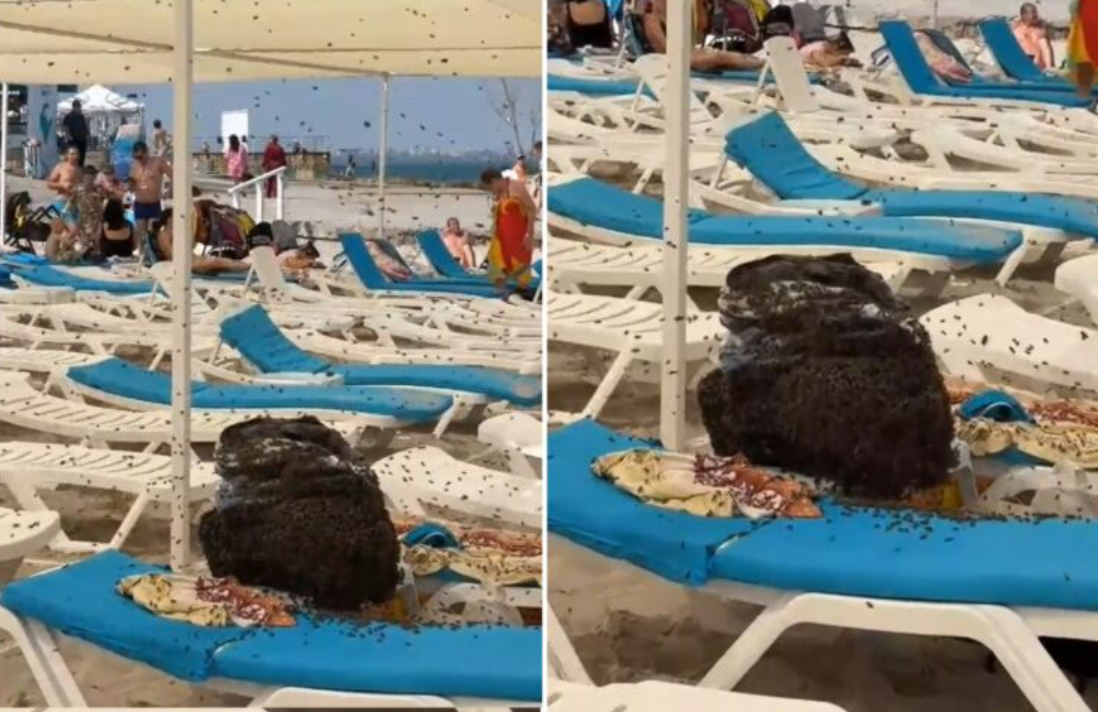 Си донеле ручек на плажа, па заминале на капење, кога се вратиле ги дочекал вистински кошмар [ВИДЕО]