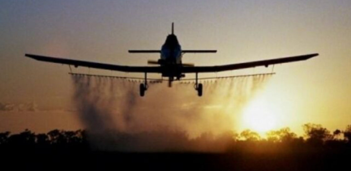 Град Скопје: Во сабота и недела ќе се прска против комарци во Скопје