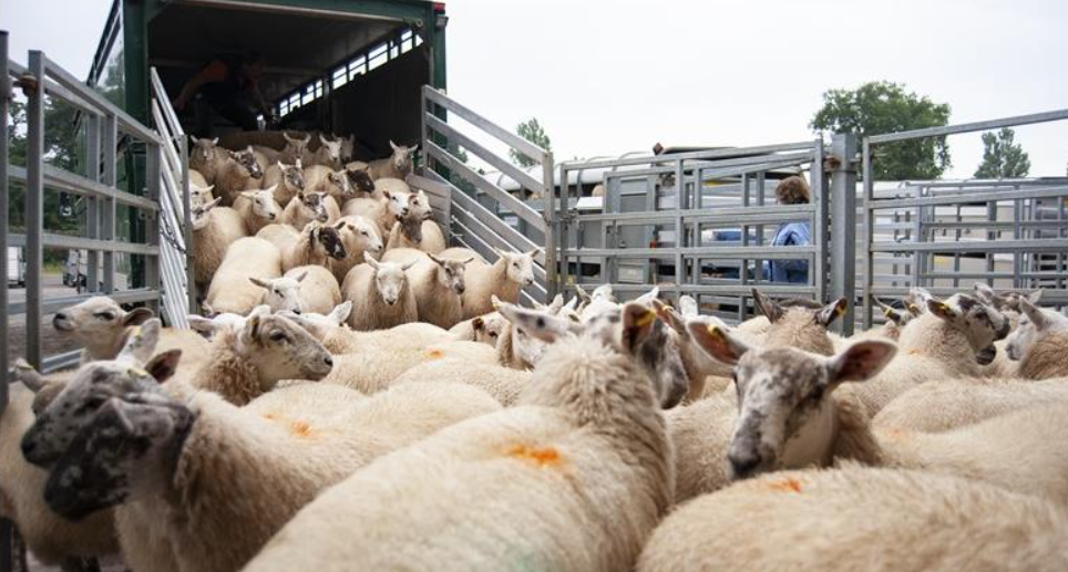 Евростат: Сточниот фонд во ЕУ продолжува да се намалува