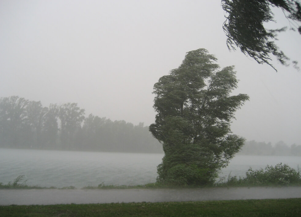 Подгответе се: Викендов не очекуваат ветрови со брзина од над 70 километри на час