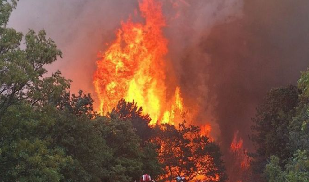 Страшен пожар во близина на Црна Гора, пожарникарите успеале да спасат над 100 куќи