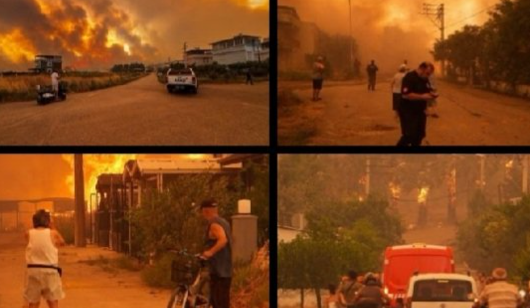 Турција втор ден под оган: Шумски пожари беснеат во Измир – над илјада пожарникари се борат со огнената стихија