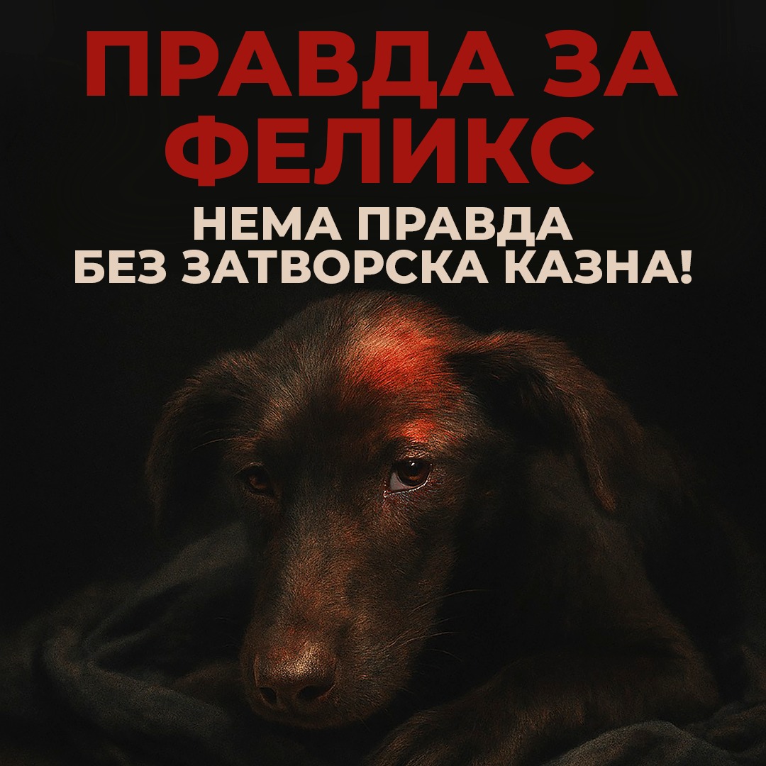 Кучето Феликс било убиенo затоа што мавтало со опашката, реагираат ЗХГ и Анима Мунди и бараат максимална затворска казна за обвинетите