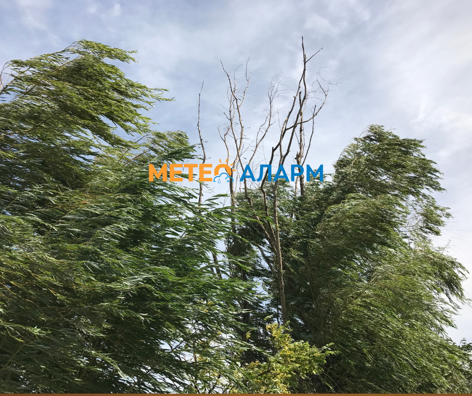 МЕТЕОАЛАРМ ПРЕДУПРЕДУВАЊЕ: Следува силен северен ветер (над 60 км/час)!