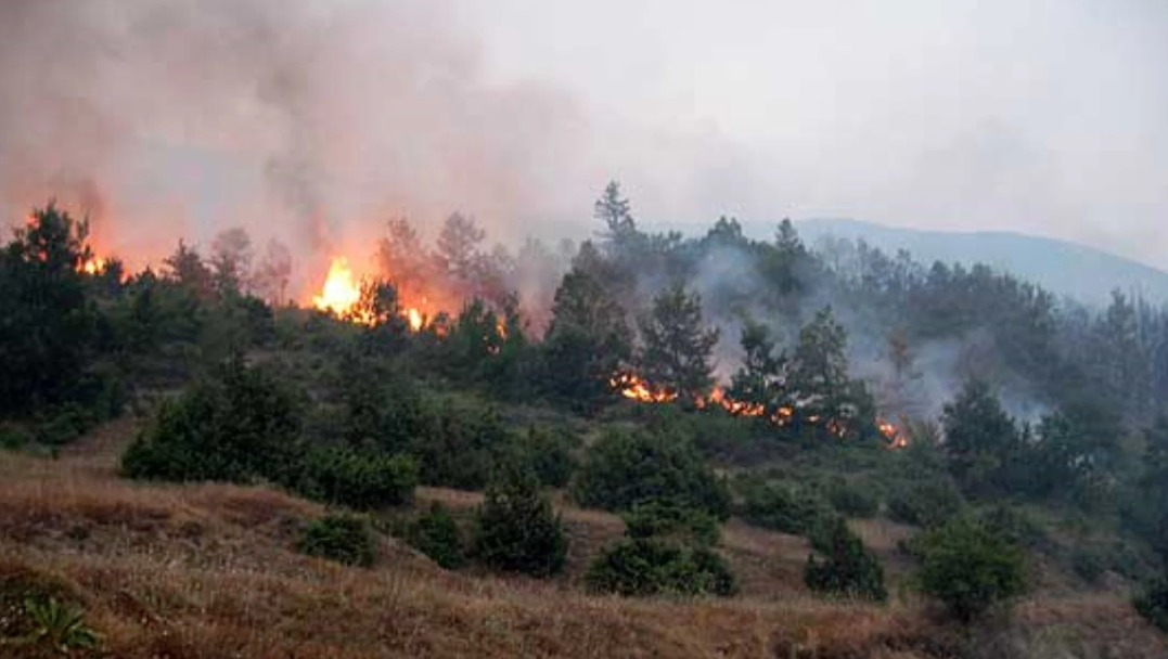 Четири активни пожари низ Македонија, изгаснати 25 – ЦУК во состојба на зголемена готовност