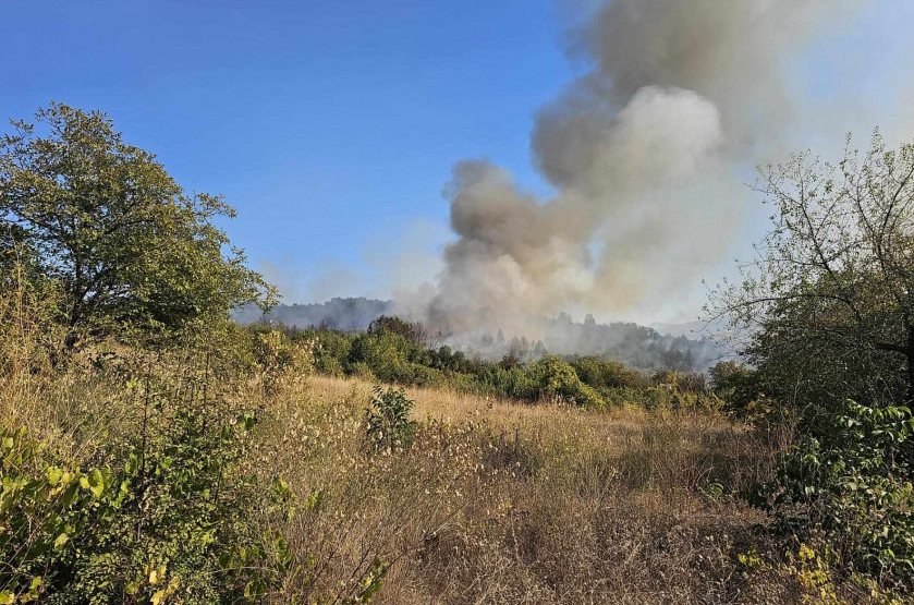 Полицијата уапси маж од Радовиш поради предизвикување пожар