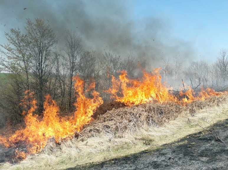 Активни четири пожари на отворен простор во Македонија, локализиран пожар на депонија во Делчево