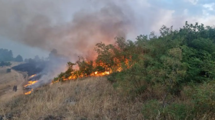 Пожарот кај Чучер Сандево сè уште активен – тешко пристапен терен го отежнува гаснењето