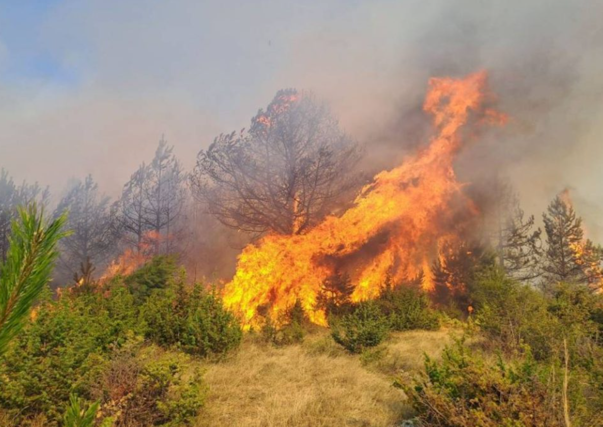 Над 60 пожари на отворен простор во Македонија – девет сè уште активни