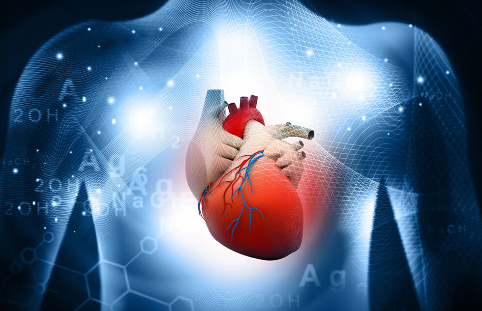 Го убива ракот и го штити срцето: Овој пијалок го нарекуваат “Пијалок на Боговите” – еве како да го направите