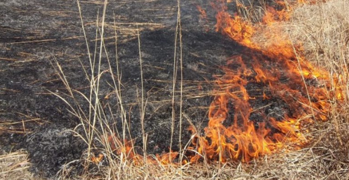 Лишен од слобода маж од тетовско затоа што запалил оган во нива во Тетово