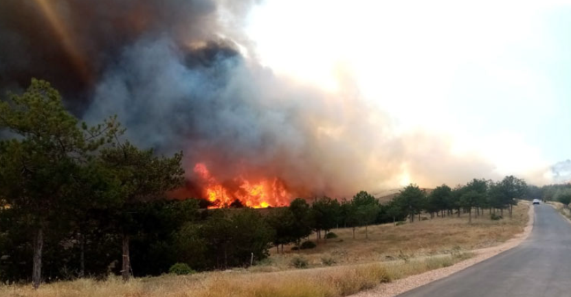 Регистрирани 38 пожари на отворен простор низ земјата – седум сè уште активни