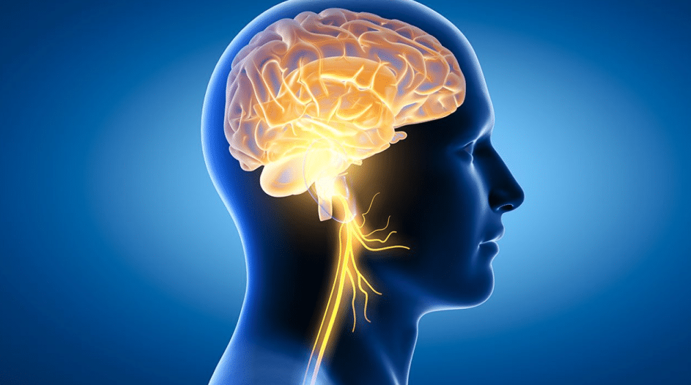 Иако ги правиме секојдневно, овие навики го уништуваат нашиот мозок