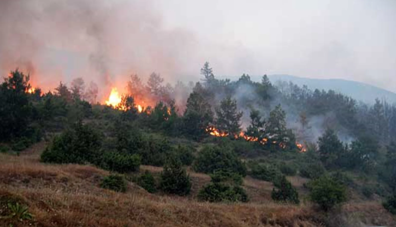 Состојба со пожарите до 12:30 часот на 15 јули: Активни се шест пожари низ државата