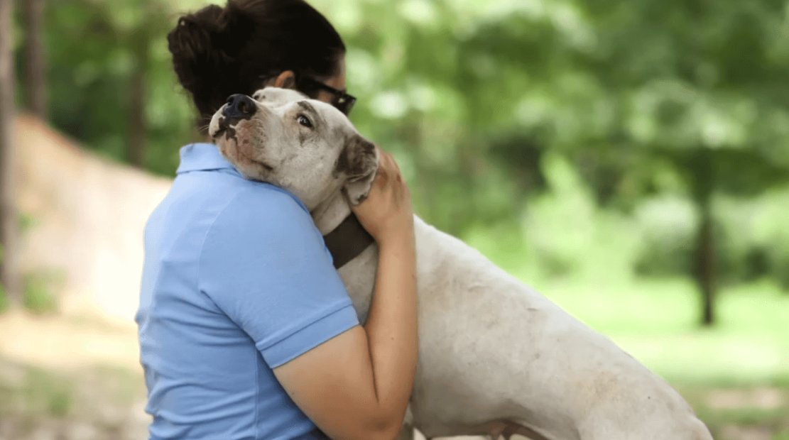 Вештачката интелигенција ќе помогне во разбирањето на јазикот на животните