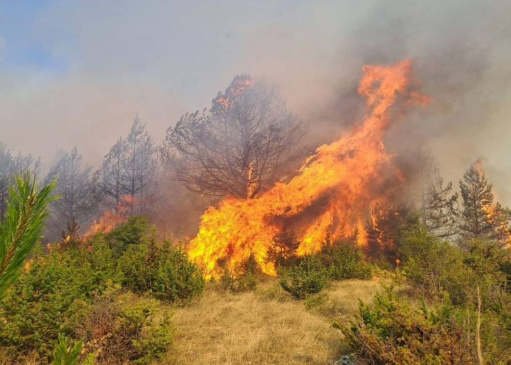 Десет пожари на отворено до пладне на територија на Република Македонија, пет сè уште активни