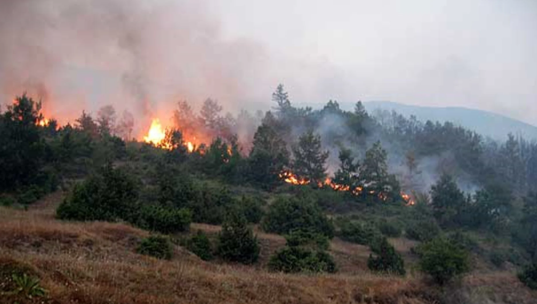 Во Република Македонија активни 6 пожари, 3 под контрола – огнот кај Велес и Сарај се шири поради ветерот